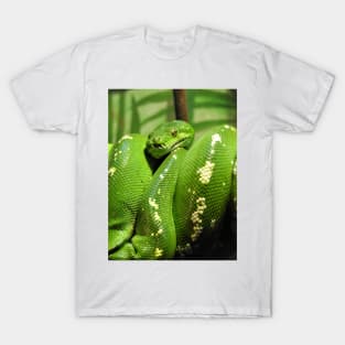 Green Tree Python T-Shirt